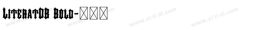 LiteratDB Bold字体转换 LiteratDB Bold字体转换